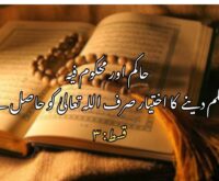 حاکم اور محکوم  فیہ: حکم دینے یعنی تشریع کا اختیار صرف اللہ تعالیٰ کو حاصل ہے